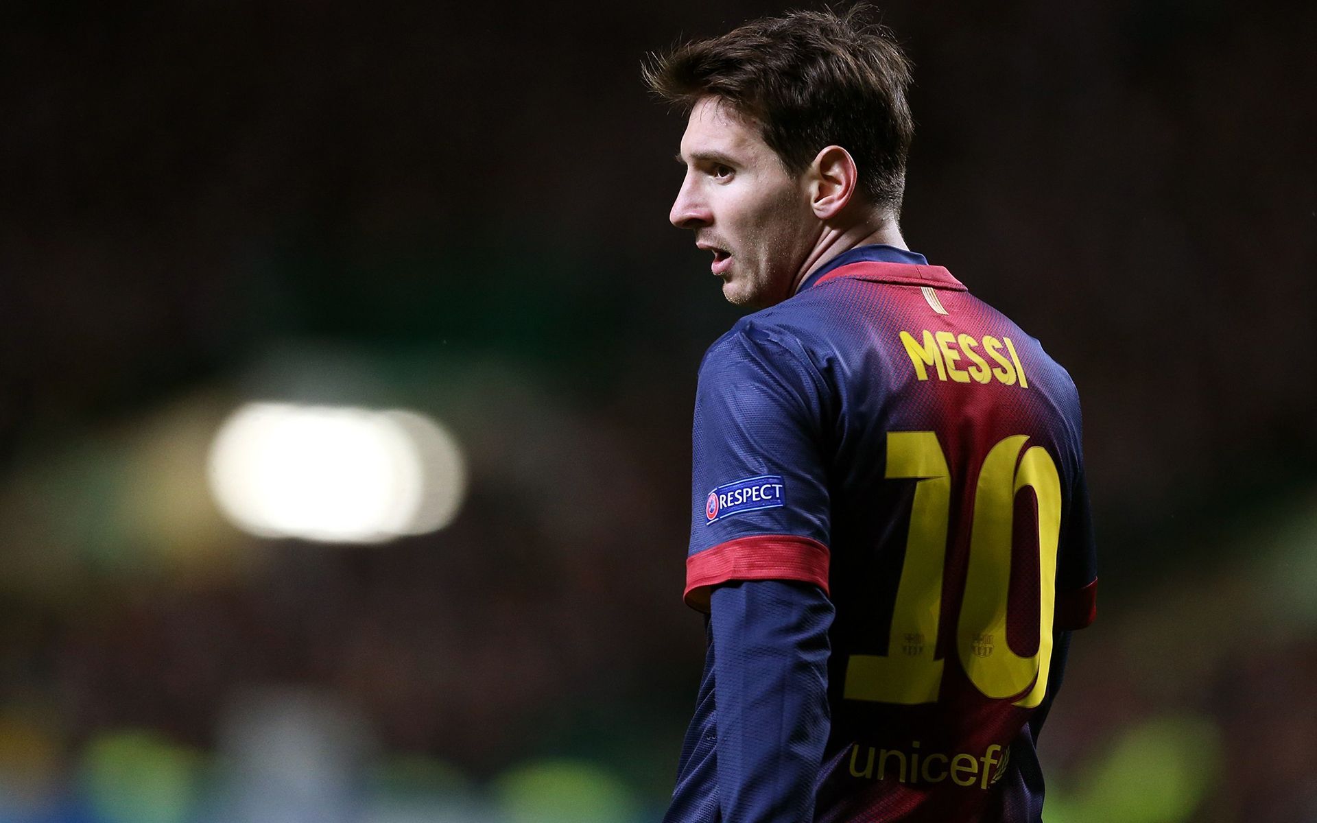 命运却已调 命运却已调